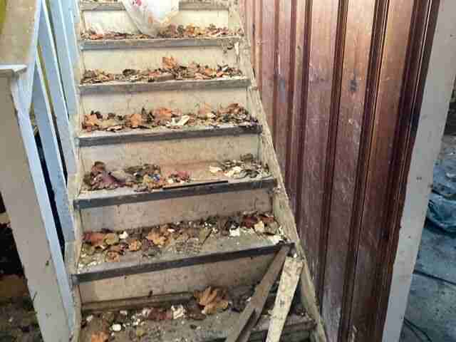 Testing again(56).jpg